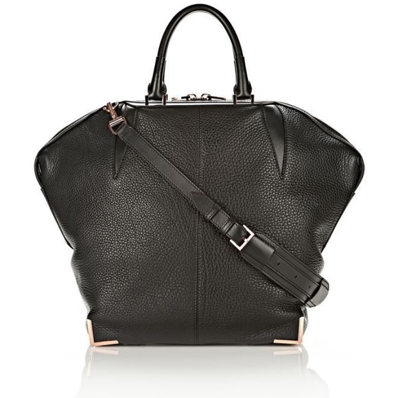 Alexander Wang Handbags - 💕ALEXANDER WANG Emile Prisma Leather Tote